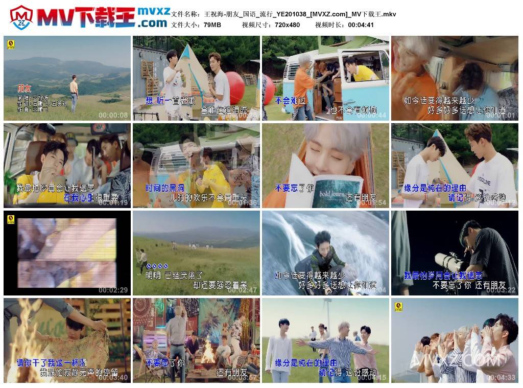 王祝海-朋友_国语_流行_YE201038